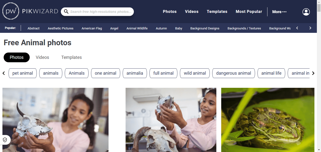 PikWizard - 免版权商用图片视频素材下载网站使用教程 PikWizard