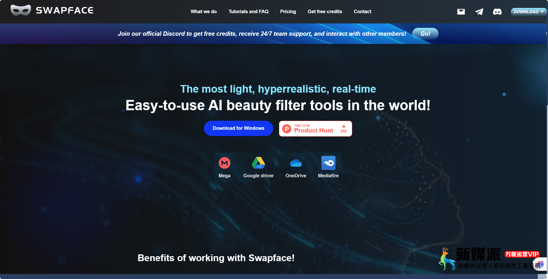 84b5162ba0c50a8390afa44dc1e1b6df Swapface