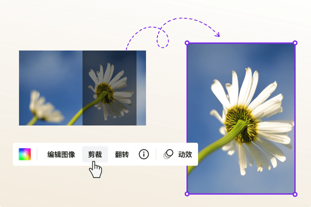 Canva 可画 Canva 可画