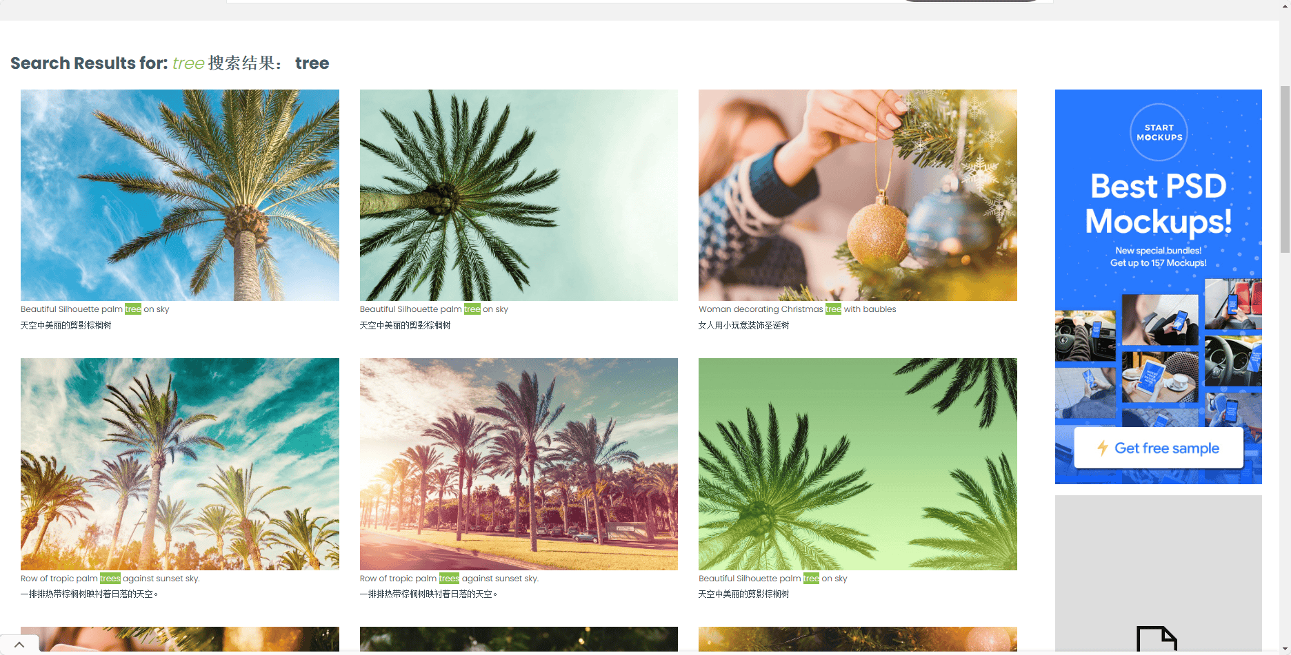 Jeshoots免费无版权图片下载教程 Jeshoots