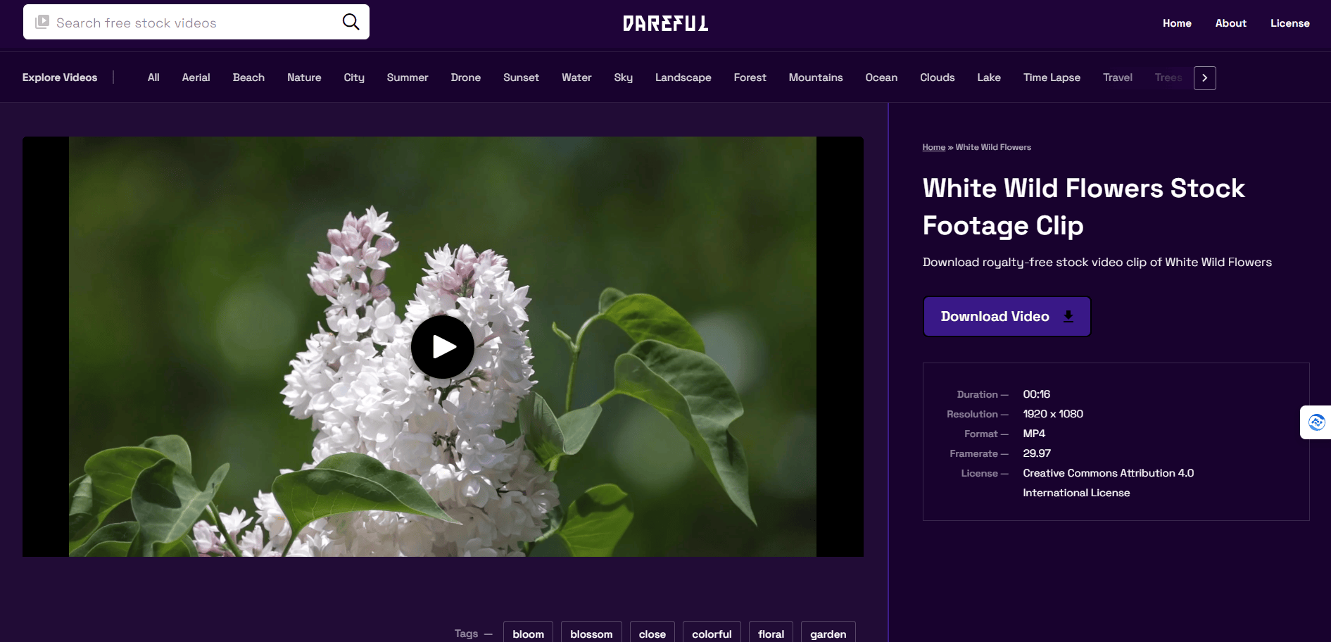 进入视频详情页面 Dareful