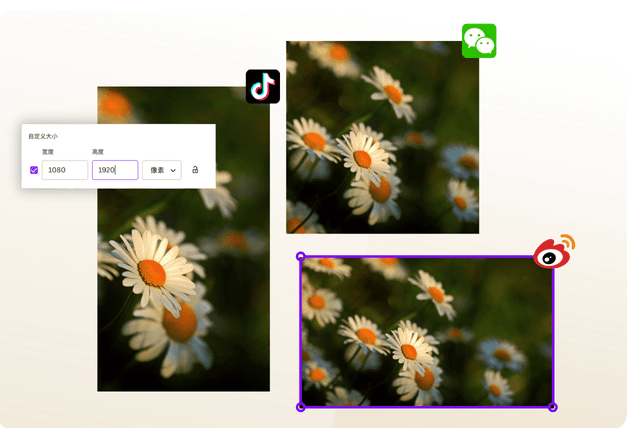 Canva 可画 Canva 可画