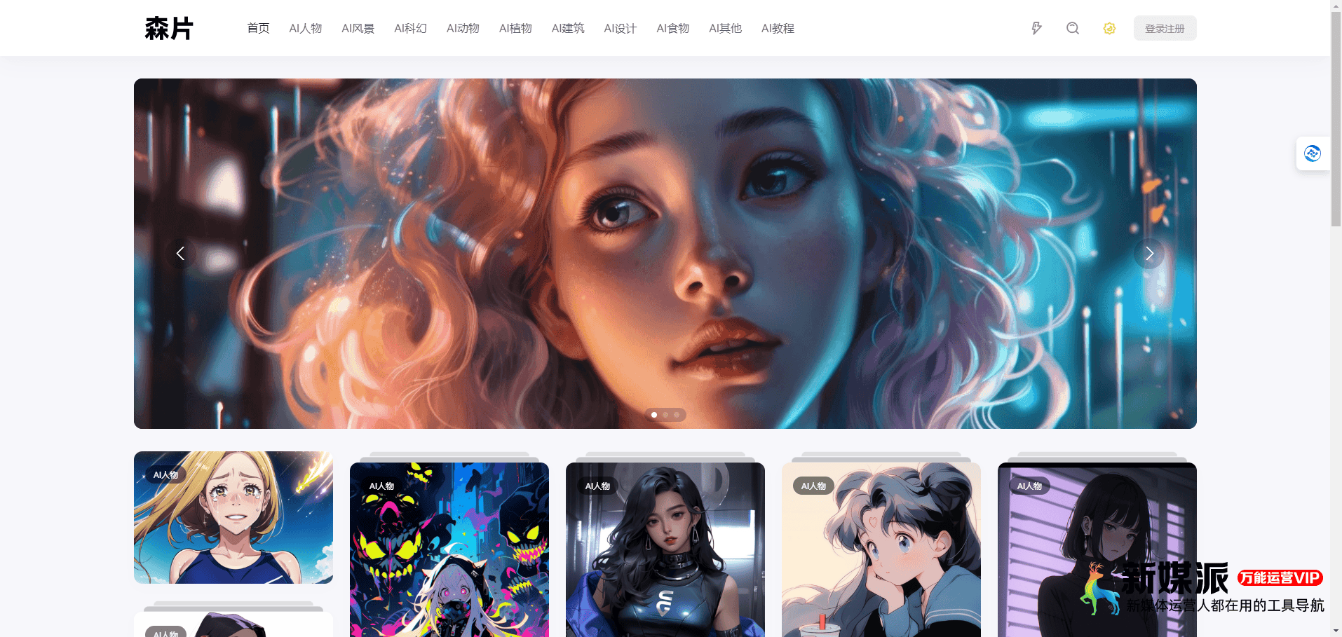 6e121db66486a0808e5a6683dcc613ee 森片