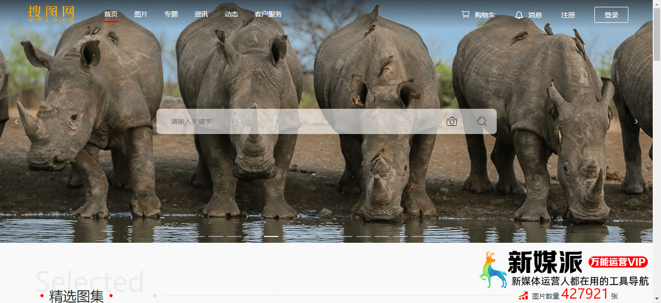 8a9e3eb57503fdcdd25e24f19609a097 搜图网