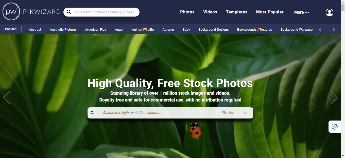 PikWizard - 免版权商用图片视频素材下载网站 PikWizard