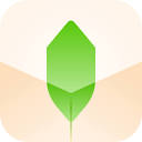 新枝：一站式知识管理助手