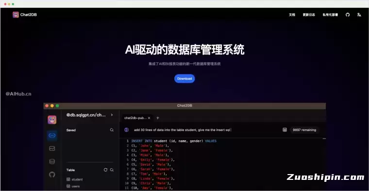 Chat2DB-AI驱动的数据库管理系统插图